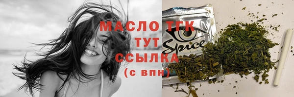 СК Алексин