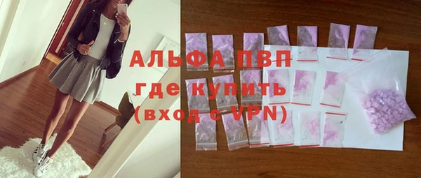СК Алексин