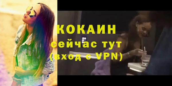 прущий лед Лагань