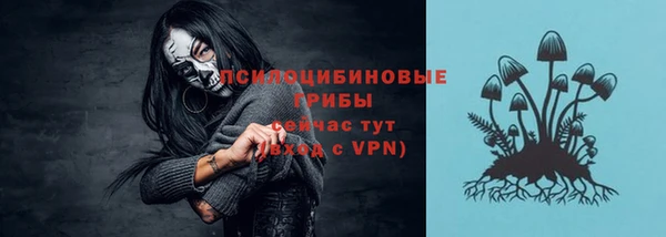 СК Алексин