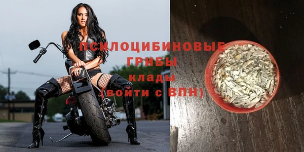 СК Алексин
